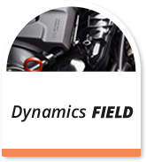 Dynamics Field