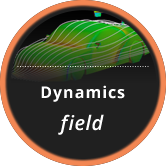 Dynamics  Field